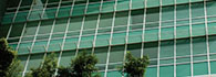 Shopfront / Curtainwall
